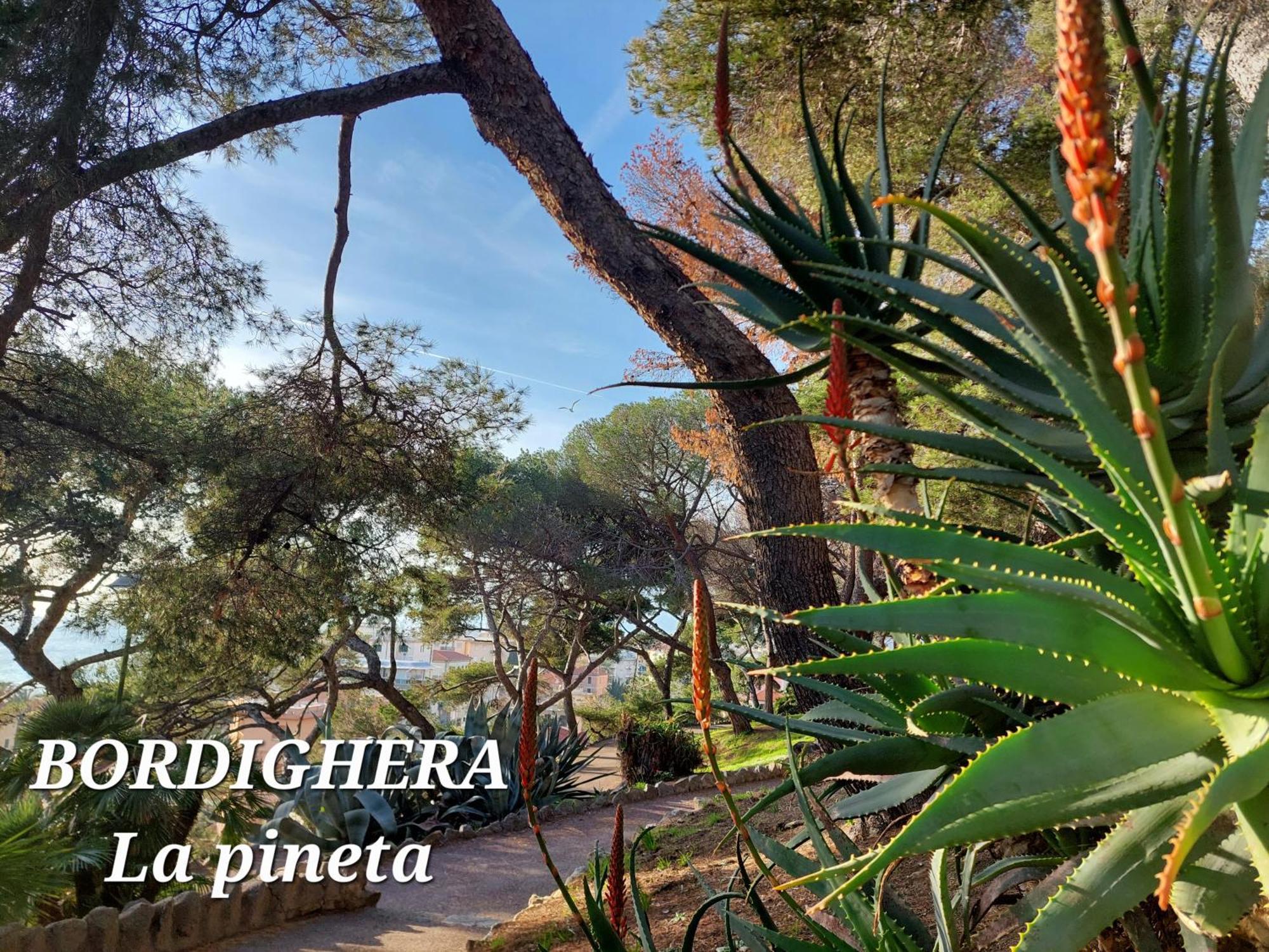 Emozioni Casa Vista Mare บอร์ดิเกรา ภายนอก รูปภาพ