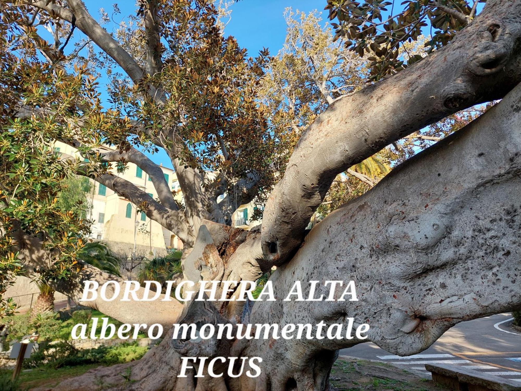 Emozioni Casa Vista Mare บอร์ดิเกรา ภายนอก รูปภาพ